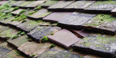 Morfa roof repair costs